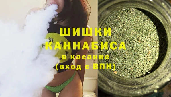 твердый Алзамай