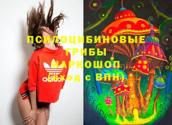 твердый Алзамай